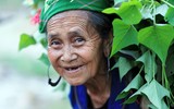 Nét đẹp phụ nữ Việt Nam qua 